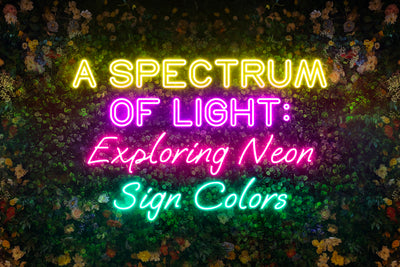 A Spectrum of Light: Exploring Neon Sign Colors